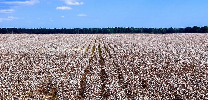 ¿Es sostenible el algodón? Granjeros, retailers ONGs y lanzan el US Cotton Trust Protocol