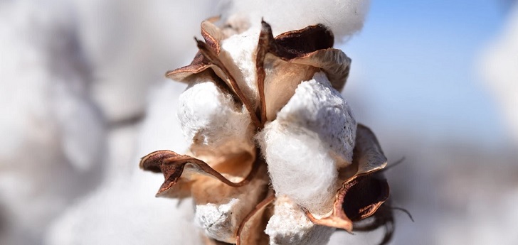 El coronavirus arrastra al algodón con los precios más bajos en una década 