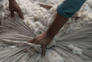 Materra, el algodón trazable que ya está en la ropa de H&M